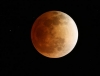 В ночь на 28 сентября земляне увидят огромную «кровавую луну»