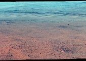 НАСА показало речную гальку Марса