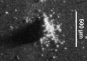Rosetta нашла на комете частицы межпланетной пыли
