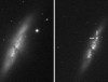 В галактике М82 вспыхнула яркая сверхновая