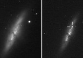В галактике М82 вспыхнула яркая сверхновая